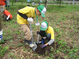 昨年実施した植樹の様子