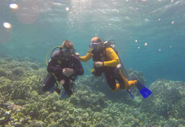 Soma Bay 2017, handicaptauchen.at