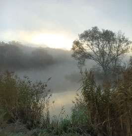 "Jeder Schritt, den ich in die Unklarheit wage, führt mich zu neuen Horizonten der Weisheit und des Wachstums." Beate Tschirsch (Seelengarten Orakel / Nebelwald)