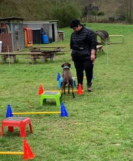 Martha Salinas-Medina steht auf einer Wiese neben ihrer braunen Hündin Lucy, umgeben von bunten Hürden und kleinen Hockern für Hundetraining.