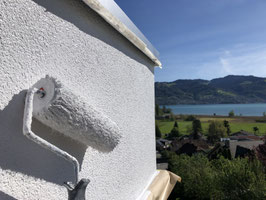 Hausrenovation