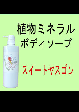 植物ミネラル洗顔料 モリオナ