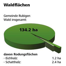 Die von der Überbauungsordnung (UeO) Kiesabbau Rütiweid betroffene Fläche umfasst weniger als 3% der gesamten Waldfläche in der Gemeinde Rubigen.