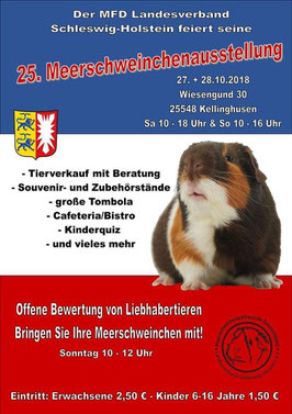 Quelle: https://www.mfd-sh.de/