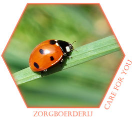 Nieuw logo en website