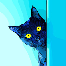 Eine gezeichnete blau-schwarze Katze mit großen gelben Augen schaut neugierig hinter einer Art Vorhang in türkis, himmelblau, hellblau hervor. 