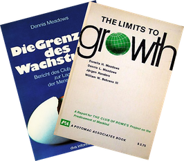 Das Original "Die Grenzen des Wachstums" wurde in viele Sprachen übersetzt.  