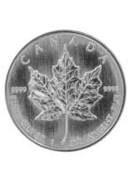 Maple Leaf Silbermünzen