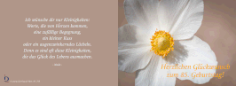 Pfarrkarte - 85. Geburtstag - Weiße Blüte