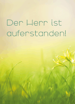 Gebetskärtchen - Der Herr ist auferstanden (10er Pack)