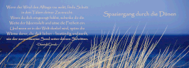 Spaziergang durch die Dünen