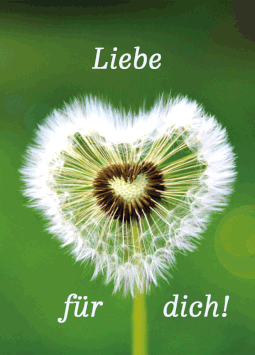 Gebetskärtchen - Liebe (10er Pack)