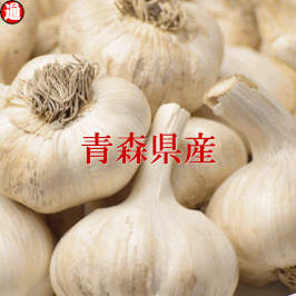 【新物予約】 早割り 土付き にんにく 送料無料 生産者直送 M-Lサイズ混合(割合は指定不可) 普通便