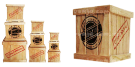 CAJA DE MADERA TOP SECRET 10X