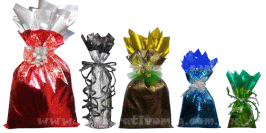 PRACTIBOLSA SHINE No.5
