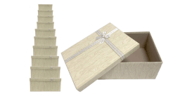 SETS DE 10 PIEZAS DS44117