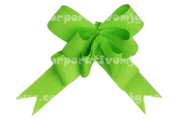 MOÑO MATE  VERDE LIMÓN COMPAC