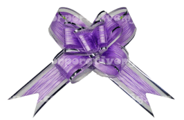 MOÑO DE ORGANZA ESPECTRA GRANDE FH29 MORADO