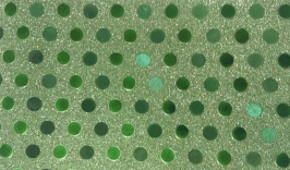 PAPEL DIAMANTADO C058 VERDE
