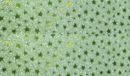 PAPEL DIAMANTADO L007 VERDE