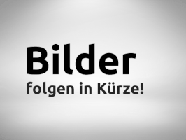Acanthosaura lepidogaster - Schwarzkopf-Nackenstachler DNZ´25 !!