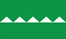 Bandera de Salinas