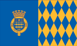 Bandera de Arecibo