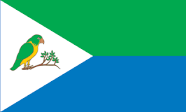 Bandera de Río Grande