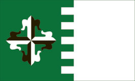 Bandera de Guaynabo