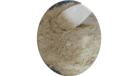DONG QUAI POWDER