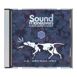 Sound Maneuvers XIIIth