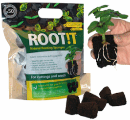 Root It Nachfüllbag 50 Stück