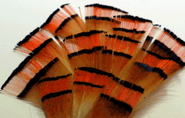 Goldfasan Tippets Selected #L