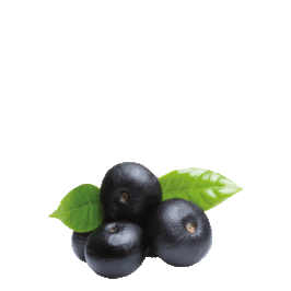 Feines Açaí-Püree PREMIUM