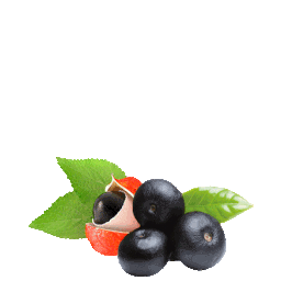 Feines Açaí-Püree PREMIUM  mit Guaraná-Sirup (Vitaçaí)