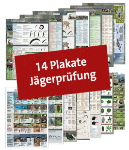14er-Set Lernplakate "lose" für die Jägerprüfung
