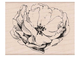Hero Arts Wood Stamp: Antique Rose