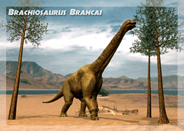 authentic CARD - Brachiosaurus Brancai