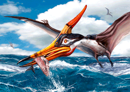 authentic CARD - Pteranodon beim Fischen