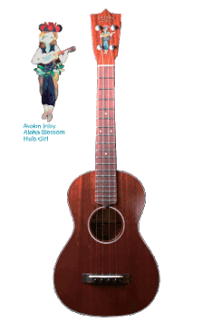 tkitki ukulele HM-T・KIYOSAKU