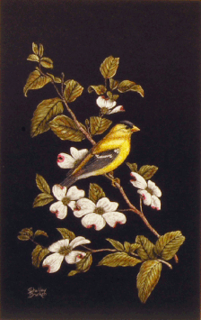 "GOLDFINCH"