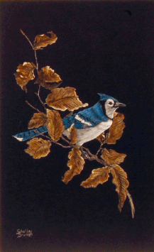 "BLUEJAY"