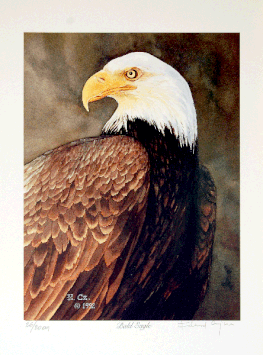 "BALD EAGLE"