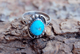 Ring 3010