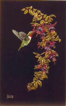 "Hummingbird"