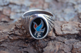 Ring 2008