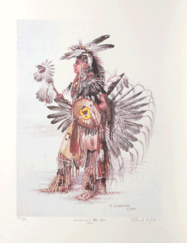 "WILD SPIRIT