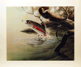 "TROUT"
