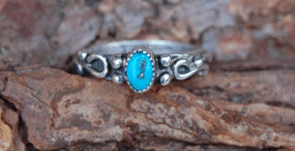 Ring 3004