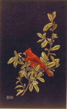 "CARDINAL"